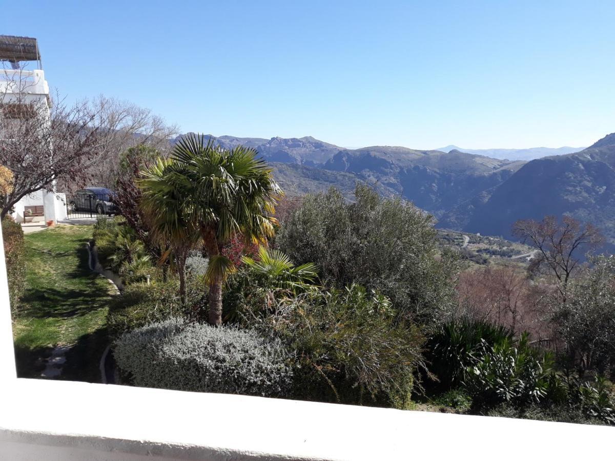 La Oveja Verde De La Alpujarra Pitres Exterior photo