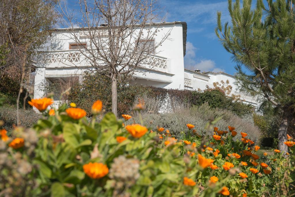 La Oveja Verde De La Alpujarra Pitres Exterior photo