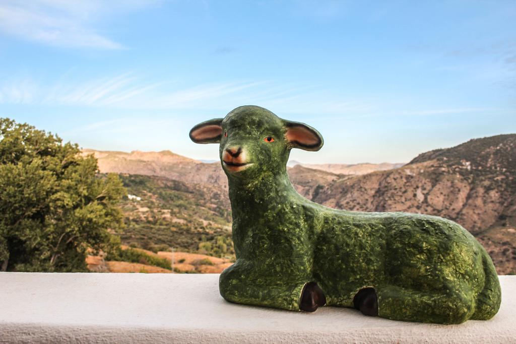La Oveja Verde De La Alpujarra Pitres Exterior photo